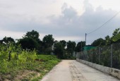 Bán đất mùa Covid 19 tại Đường 3, xã Tam Phước, huyện Long Điền.